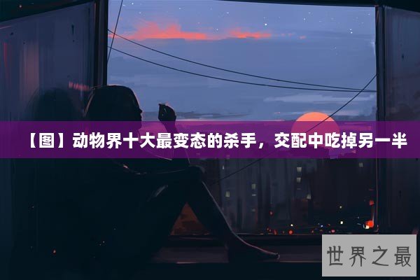 【图】动物界十大最变态的杀手，交配中吃掉另一半
