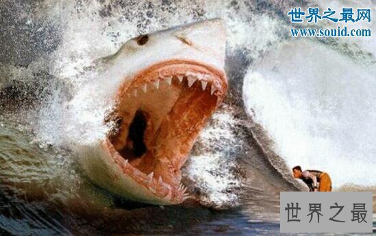 【图】史前最大的鲨鱼，体长21米的巨牙鲨(以鲸鱼为食