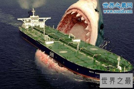 【图】史前最大的鲨鱼，体长21米的巨牙鲨(以鲸鱼为食