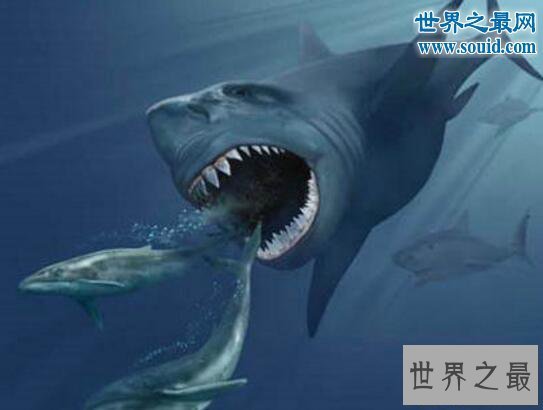 【图】史前最大的鲨鱼，体长21米的巨牙鲨(以鲸鱼为食