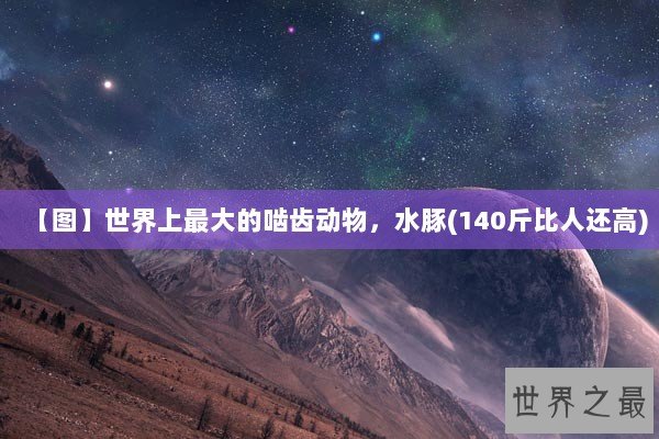 【图】世界上最大的啮齿动物，水豚(140斤比人还高)