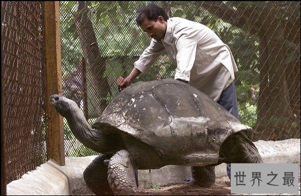 【图】世界上寿命最长的动物，蛤蜊至少507年(已知的