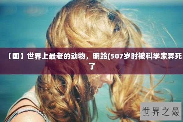 【图】世界上最老的动物，明蛤(507岁时被科学家弄死了