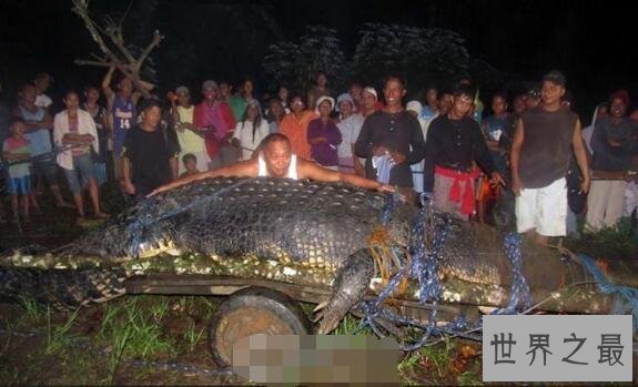 【图】世界上最大最凶残的鳄鱼湾鳄，吞食日军1000人