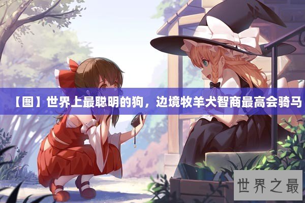 【图】世界上最聪明的狗，边境牧羊犬智商最高会骑马