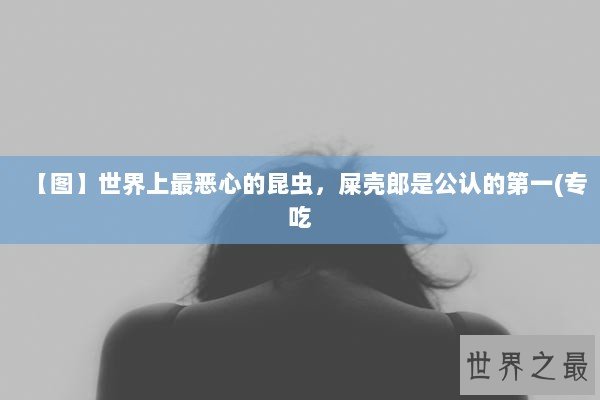 【图】世界上最恶心的昆虫，屎壳郎是公认的第一(专吃