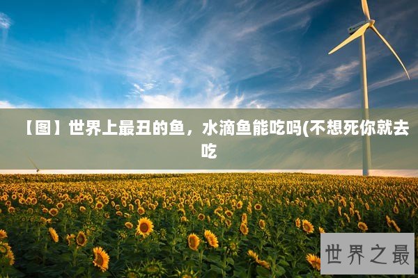 【图】世界上最丑的鱼，水滴鱼能吃吗(不想死你就去吃