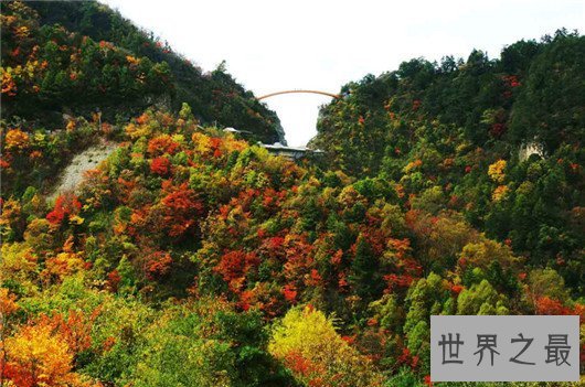 【图】夏天去哪里旅行凉快，逃离高温必去十大漂亮景