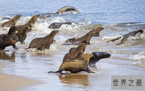 世界最好钻石深埋大西洋海底 估计海底领有八千万克拉钻石