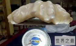 【图】世界上最大的珍珠 你肯定没见过（重68斤）