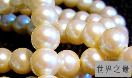珍珠