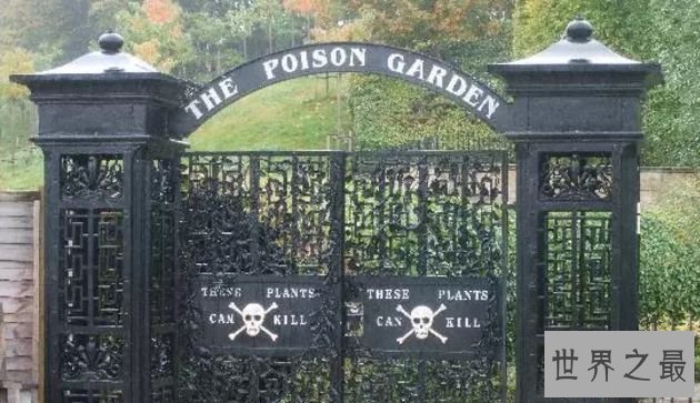 阿尼克毒药花园 - 英格兰