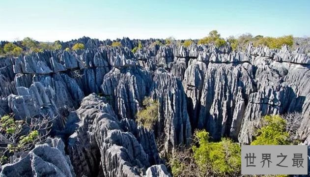 磬吉国家公园 - 马达加斯加