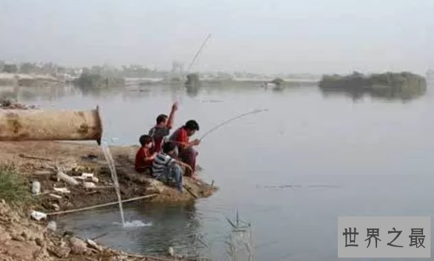 巴格达 - 伊拉克