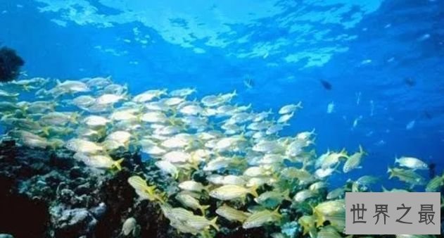 陆地系统的解体