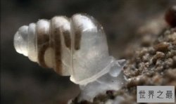 【图】世界十大奇迹 地下两千英里竟还有生物存活