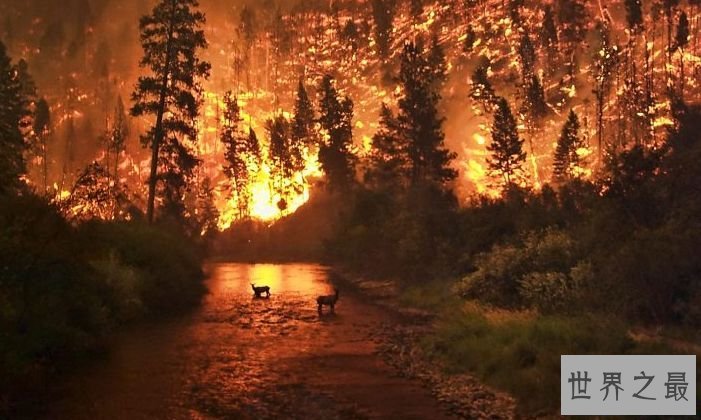 1871佩什蒂戈大火