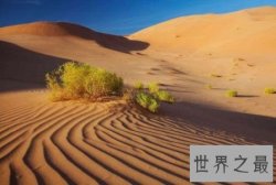 【图】世界上最大的半岛 阿拉伯半岛大约为300万平方公