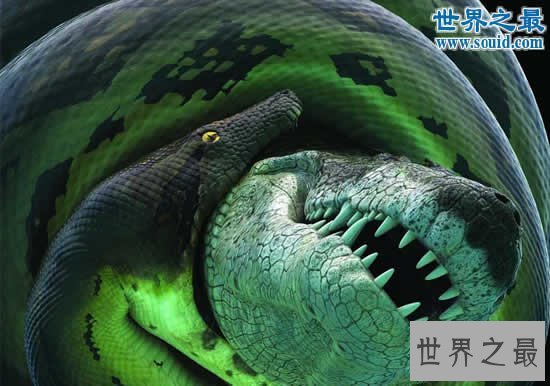 【图】世界上最大的蛇，塞雷洪泰坦巨蟒(长15米重达3吨