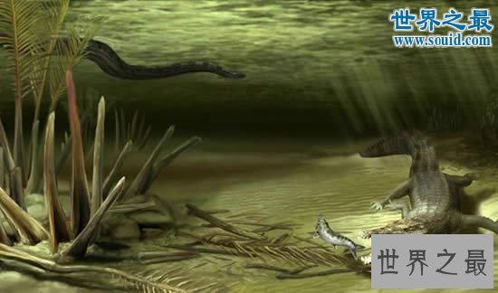【图】世界上最大的蛇，塞雷洪泰坦巨蟒(长15米重达3吨