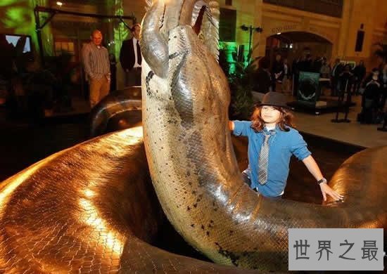 【图】世界上最大的蛇，塞雷洪泰坦巨蟒(长15米重达3吨