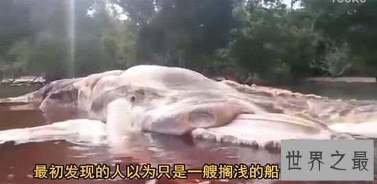 【图】最具破坏力的印尼海啸，顷刻吞噬30万鲜活生命