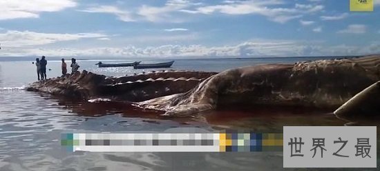 【图】最具破坏力的印尼海啸，顷刻吞噬30万鲜活生命