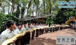 【图】世界上最大的蛇97米，当然是假的（只有14.85米）