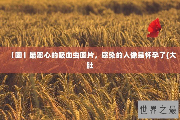 【图】最恶心的吸血虫图片，感染的人像是怀孕了(大肚