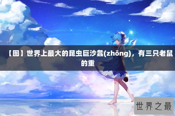 【图】世界上最大的昆虫巨沙螽(zhōng)，有三只老鼠的重