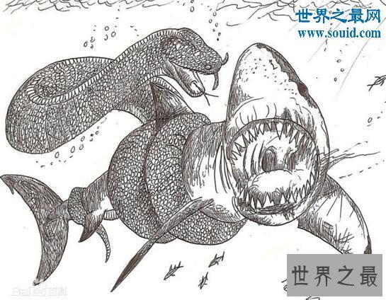 【图】远古巨兽沃那比蛇，能生吞恐龙(比泰坦蟒愈加凶
