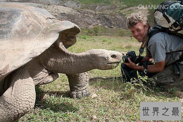 【图】加拉帕戈斯象龟，世界上最大的乌龟(700公斤)