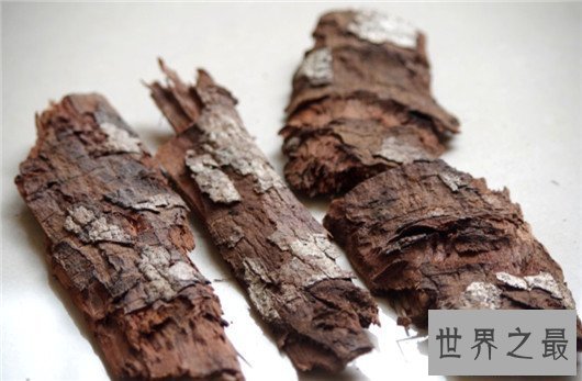 【图】男人们的福音来了，安哥拉树皮处理人生性福