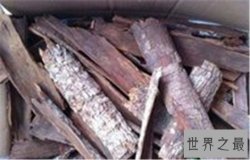 【图】男人们的福音来了，安哥拉树皮解决人生性福