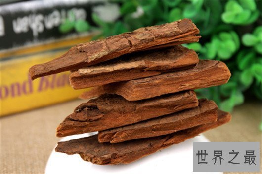 【图】男人们的福音来了，安哥拉树皮处理人生性福