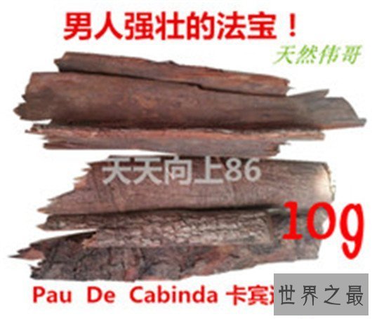 【图】男人们的福音来了，安哥拉树皮处理人生性福