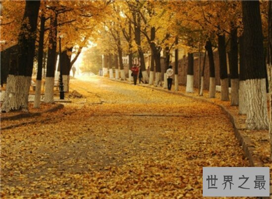 【图】青岛的旅行景点 青岛最值得去的10个景点