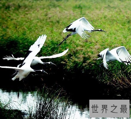 【图】吉林旅行景点大全 十大旅行景点详解保证让你玩