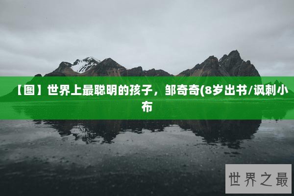 【图】世界上最聪明的孩子，邹奇奇(8岁出书/讽刺小布