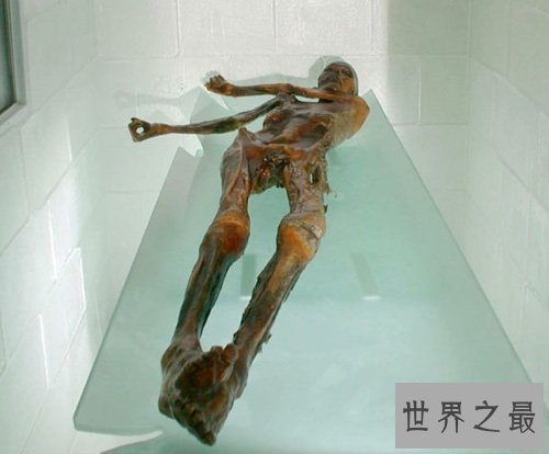 【图】世界最陈旧的木乃伊，奥茨(冰人奥兹生死之谜被