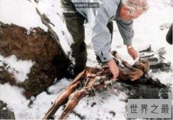 【图】世界最古老的木乃伊，奥茨(冰人奥兹生死之谜被