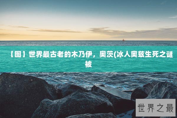 【图】世界最古老的木乃伊，奥茨(冰人奥兹生死之谜被