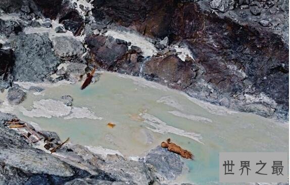 【图】世界最陈旧的木乃伊，奥茨(冰人奥兹生死之谜被