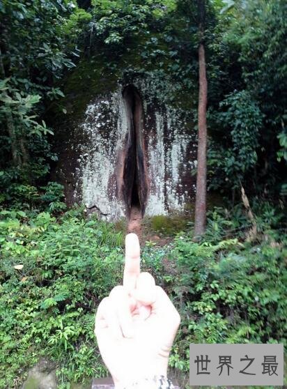 【图】丹霞山阴元石，被称世界上最大的＂阴DAO＂(高