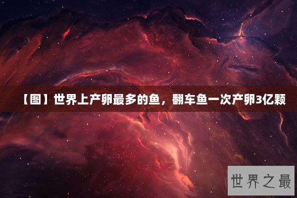 【图】世界上产卵最多的鱼，翻车鱼一次产卵3亿颗