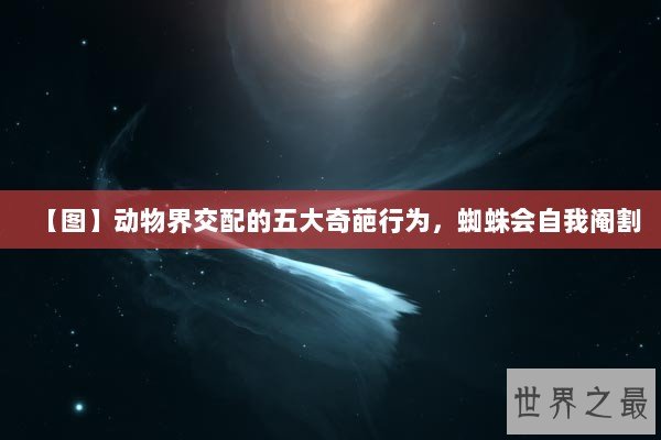 【图】动物界交配的五大奇葩行为，蜘蛛会自我阉割