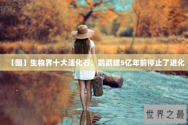 【图】生物界十大活化石，鹦鹉螺5亿年前停止了进化