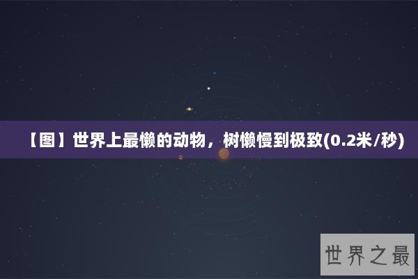 【图】世界上最懒的动物,树懒慢到极致(0.2米/秒) 【图】世界上最懒的动物,树懒慢到极致(0.2米/秒)