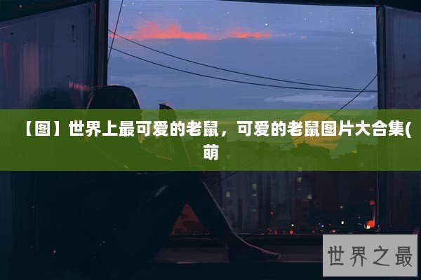 【图】世界上最可爱的老鼠，可爱的老鼠图片大合集(萌