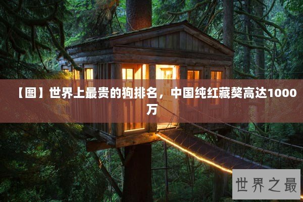 【图】世界上最贵的狗排名，中国纯红藏獒高达1000万
